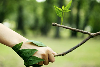 Assessoria Ambiental em SP