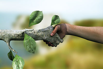 Consultoria Ambiental em São Paulo