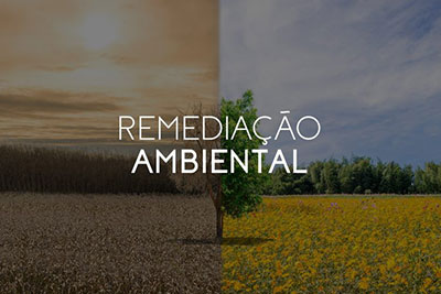 Remediação de Áreas Contaminadas