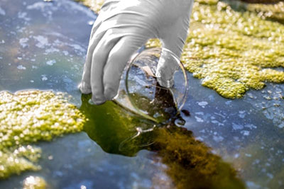 Gerenciamento de Áreas Contaminadas