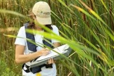 Gerenciamento de Áreas Contaminadas